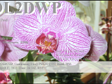 DL2DWP.PNG